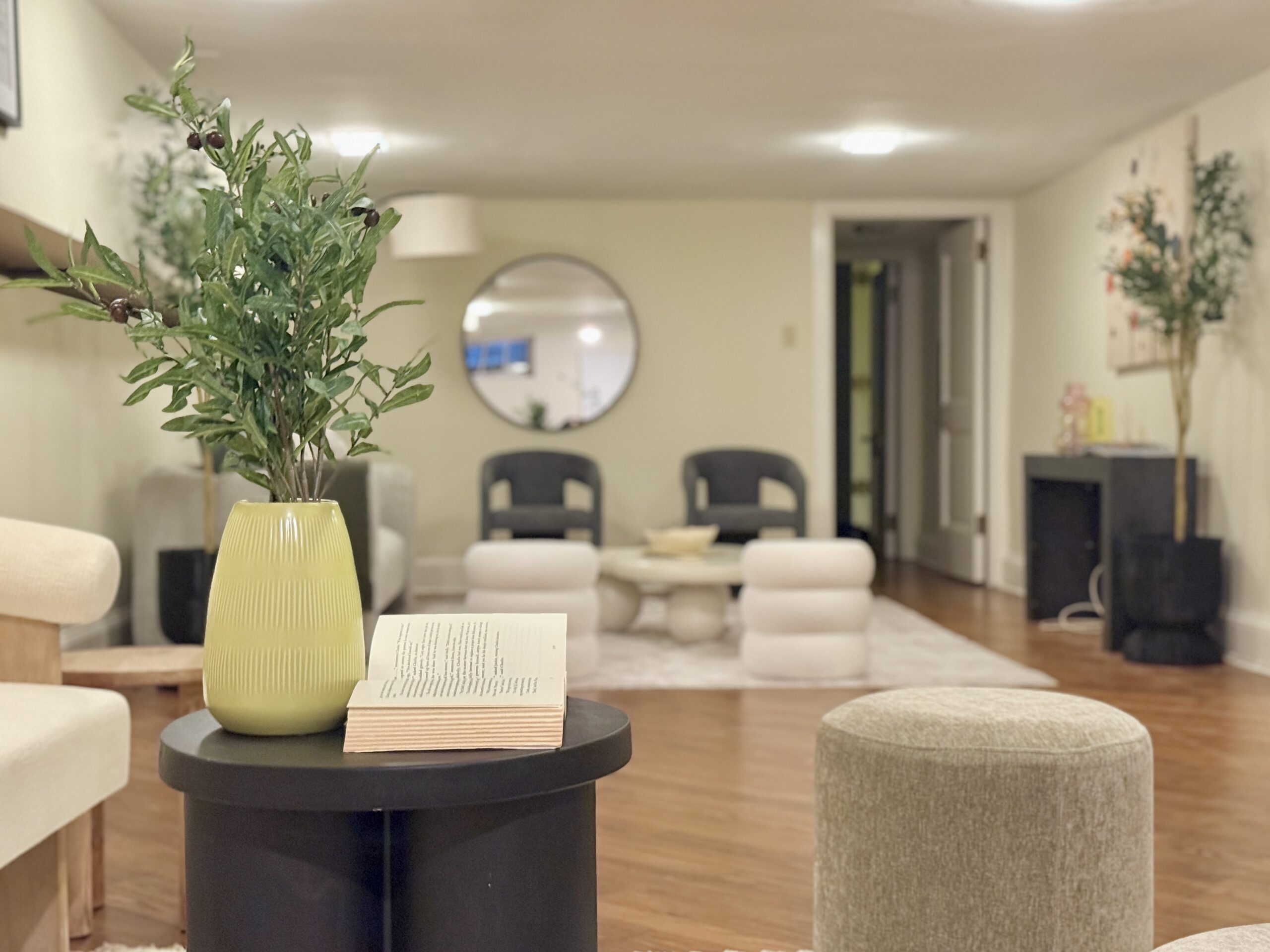 Rittenhouse House Basement Staging